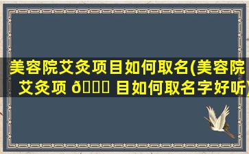 美容院艾灸项目如何取名(美容院艾灸项 🐎 目如何取名字好听)